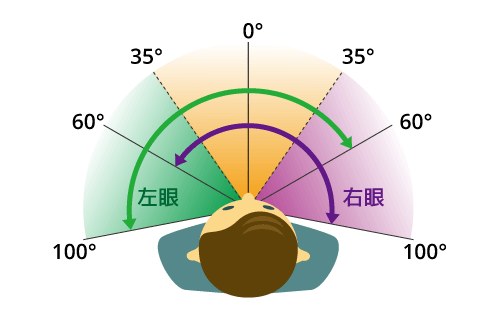 視野