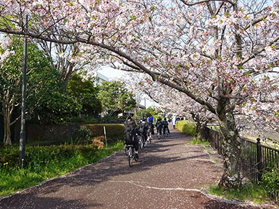 藤枝西高等学校前の通学路